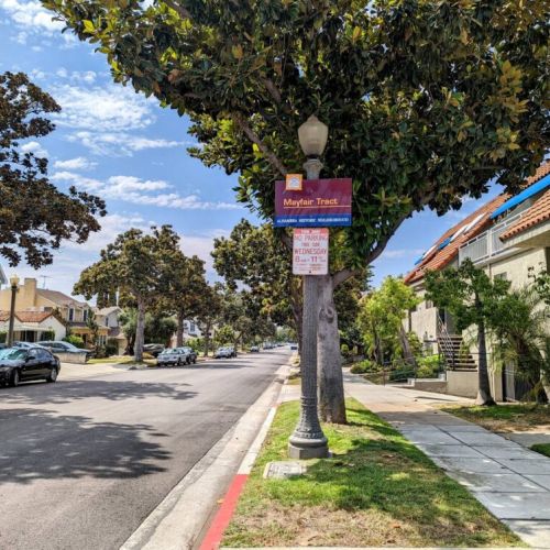 Tree-lined street views.