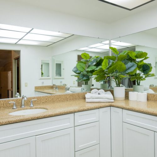 Master bath with double sinks