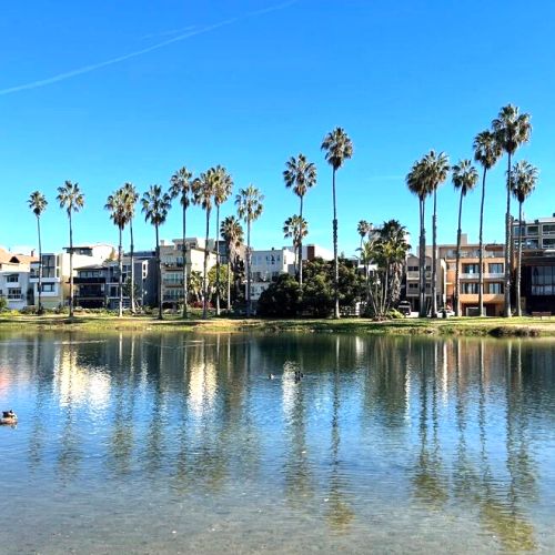 Playa Del Rey Lagoon with nearby park and playground