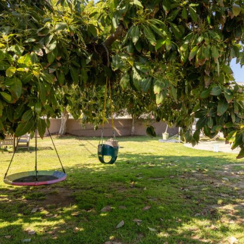 Chair swings in the shared backyard and patio