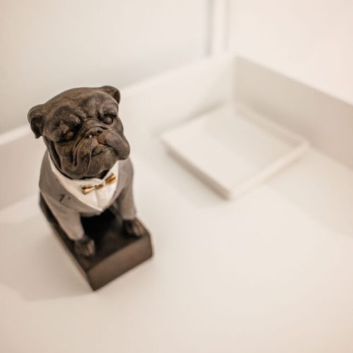 Another furry friend + a catch-all tray