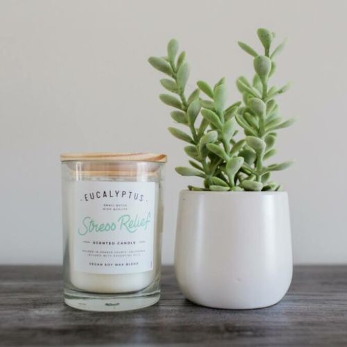 Wind down with a candle + plant vibes.