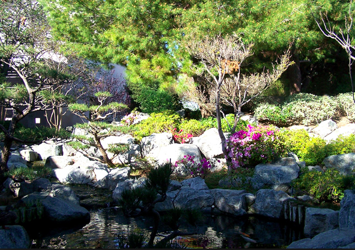 Torrance Cultural Arts Center Hospy Homes